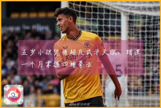 五岁小孩凭借超凡武学天赋，蹭课一个月掌握四种拳法