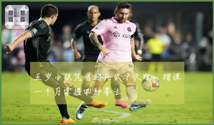 五岁小孩凭借超凡武学天赋，蹭课一个月掌握四种拳法